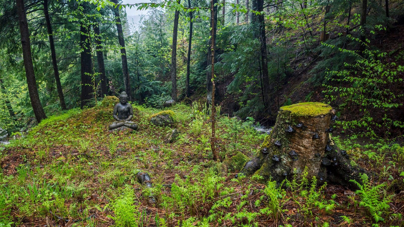 La Retraite Individuelle, conçu pour les femmes et leur projet - Le Bouddha et la Souche