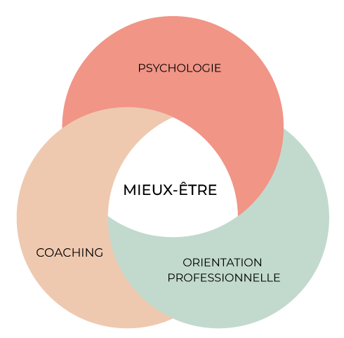 Un accompagnement qui se situe entre l’orientation professionnelle, le coaching et la psychothérapie, pour vous aider à trouver un équilibre de vie, un chemin de carrière, un emploi qui vous ressemble et votre style de vie souhaitée!