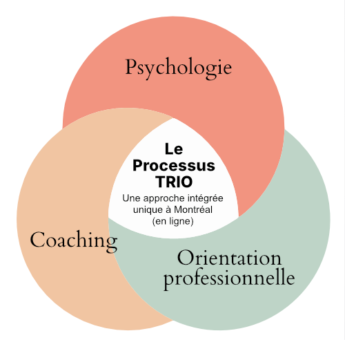 Le Processus TRIO est un service d'accompagnement 100% en ligne qui allie « psychothérapie orientation coaching » pour vous aider à trouver un chemin de carrière, un emploi qui vous ressemble et un style de vie aligné avec ce qui est important pour vous.